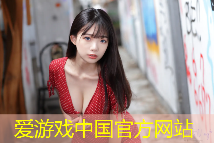 爱游戏中国官方网站,网球网怎么自己做