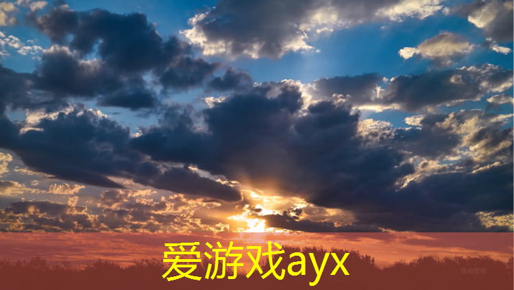 爱游戏平台,淮北景观塑胶跑道建造