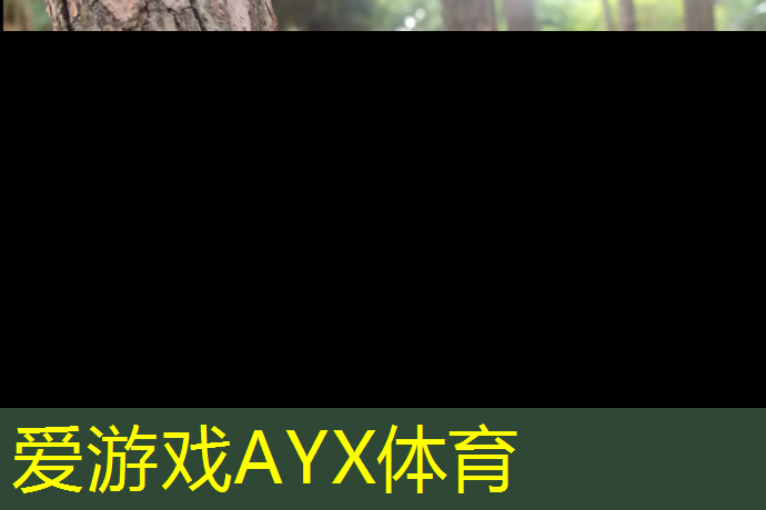 安新实验中学修塑胶跑道